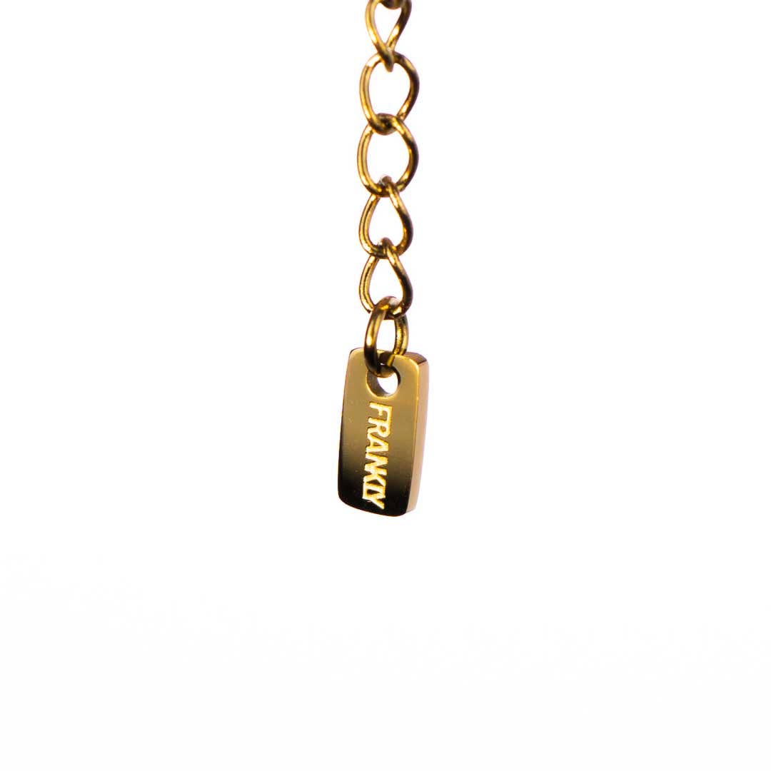 Gold chain with a tag labeled 'FRANKLY' on a white background