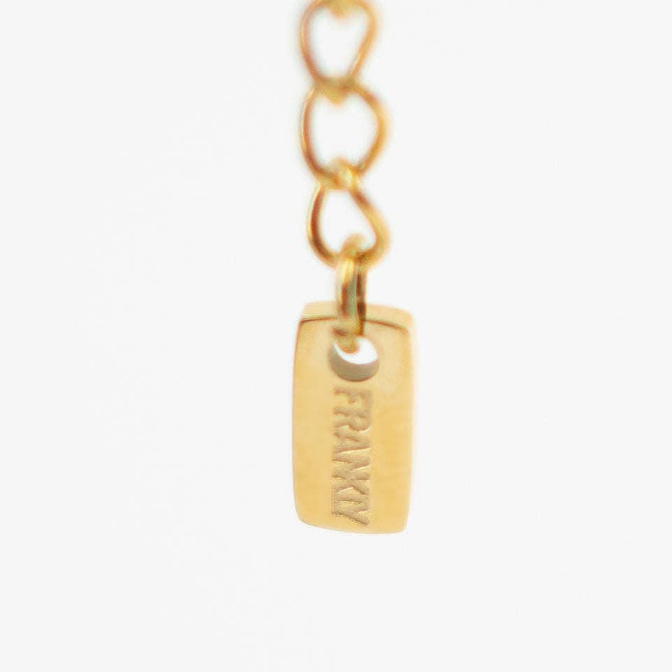 Gold chain with a tag engraved with 'FRANKY' on a white background