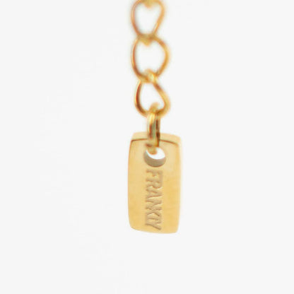 Gold chain with a tag engraved with 'FRANKY' on a white background